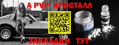 не бодяженный Кингисепп