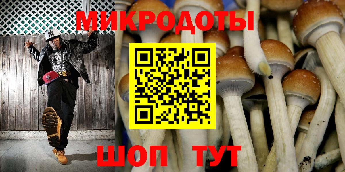 Галлюциногенные грибы Psilocybine cubensis  Вход с VPN  Хасавюрт  Галлюциногенные грибы прущие грибы 