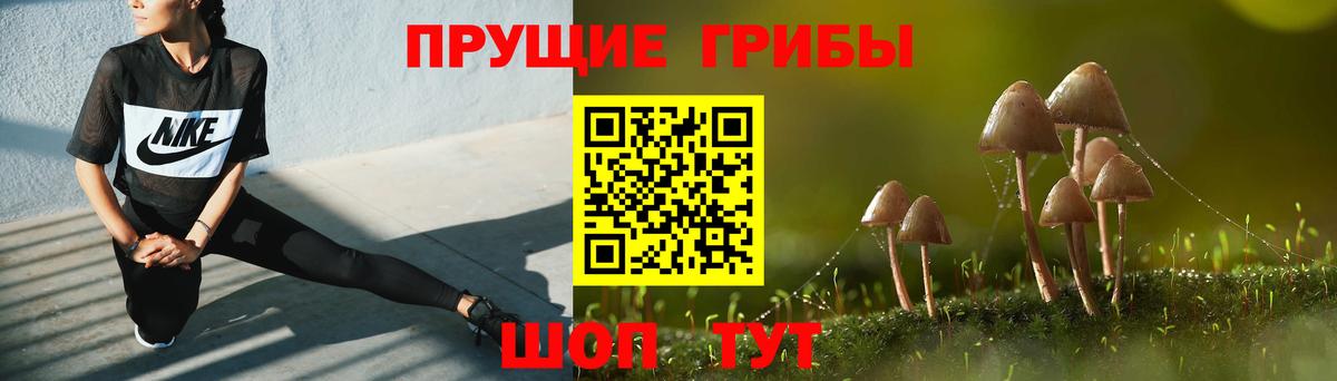 Псилоцибиновые грибы мицелий Хасавюрт
