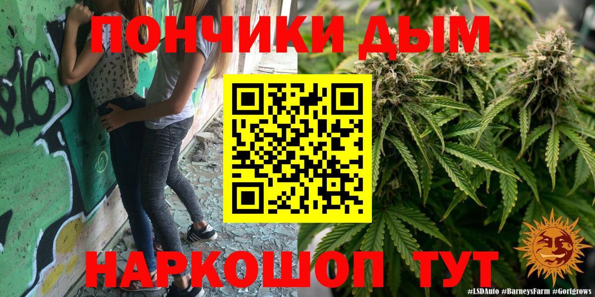 Бошки марихуана Amnesia Хасавюрт
